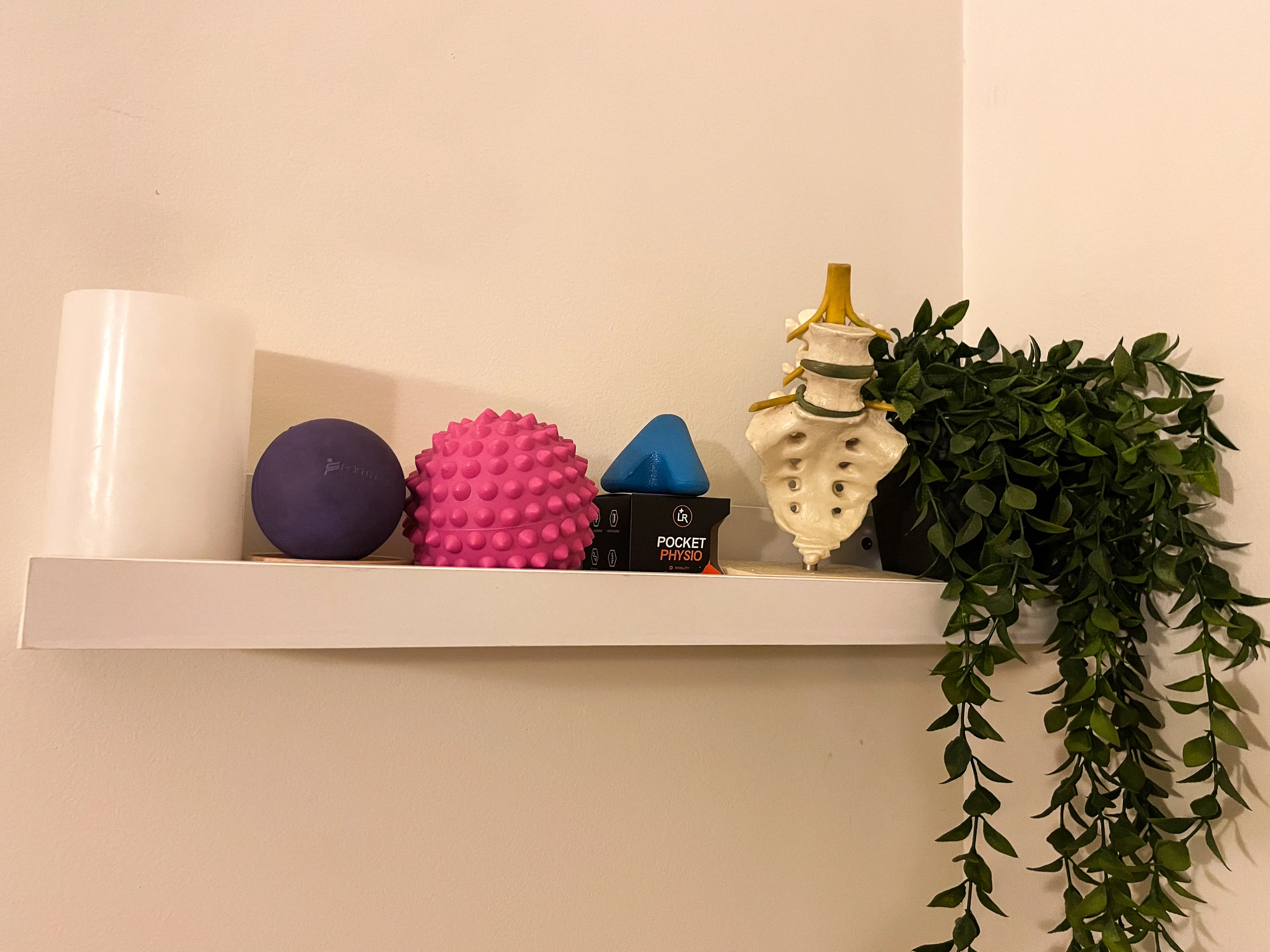 Massage and myotherapy tools on a clinic shelf — spiky balls, soft balls, spine model, trailing plant